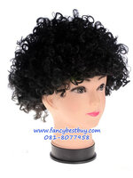 วิกผมตัวตลก, วิกผมแฟนซี, วิกผมหลากสี สำหรับชุดตัวตลก, ชุดโบโซ่, Clown, BOSO