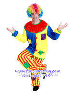 ชุดแฟนซีผู้ชาย ชุดตัวตลก Clown ขนาดฟรีไซด์ (ไม่รวมผมสี)