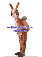 ชุดกระรอก Squirrel ชุดแฟนซีสัตว์ สำหรับการแสดง ใช้ได้ทั้งเด็กชายหญิง
