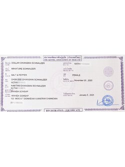 ขั้นตอนการเปลี่ยนชื่อเจ้าของใบ Certificate Pedigree ที่ได้รับจากเชียงใหม่ ชเนาเซอร์