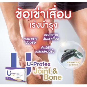 ชุดฟื้นฟูกระดูกและเส้นประสาทต่างๆ