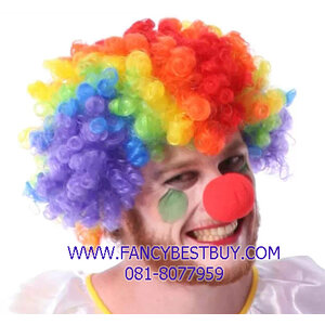 อุปกรณ์ชุดตัวตลก ชุดโบโซ่ Clown ผมสีต่างๆ