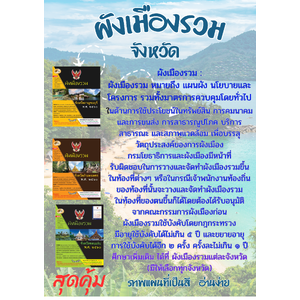 ผังเมือง