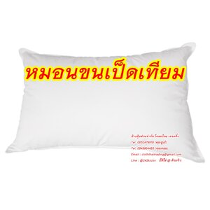 หมอน ไส้หมอนหนุน