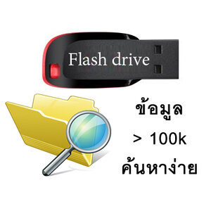 Flashdrive ข้อมูล