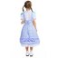 ชุดแฟนซี ชุดหนูน้อยโดโรธี Dorothy Wizard of OZ ขนาด S110-120, M 120-130, L130-140, XL 140-150