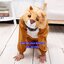 ชุดแฟนซีสิงโต Lion ชุดแฟนซีสัตว์เด็กหรือชุดมาสคอต สำหรับการแสดง ใช้ได้ทั้งเด็กชายหญิง มี ขนาด M, L, XL, XXL