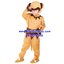 ชุดลิง Monkey ชุดแฟนซีสัตว์ สำหรับการแสดง ใช้ได้ทั้งเด็กชายหญิง