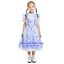 ชุดแฟนซี ชุดหนูน้อยโดโรธี Dorothy Wizard of OZ ขนาด S110-120, M 120-130, L130-140, XL 140-150