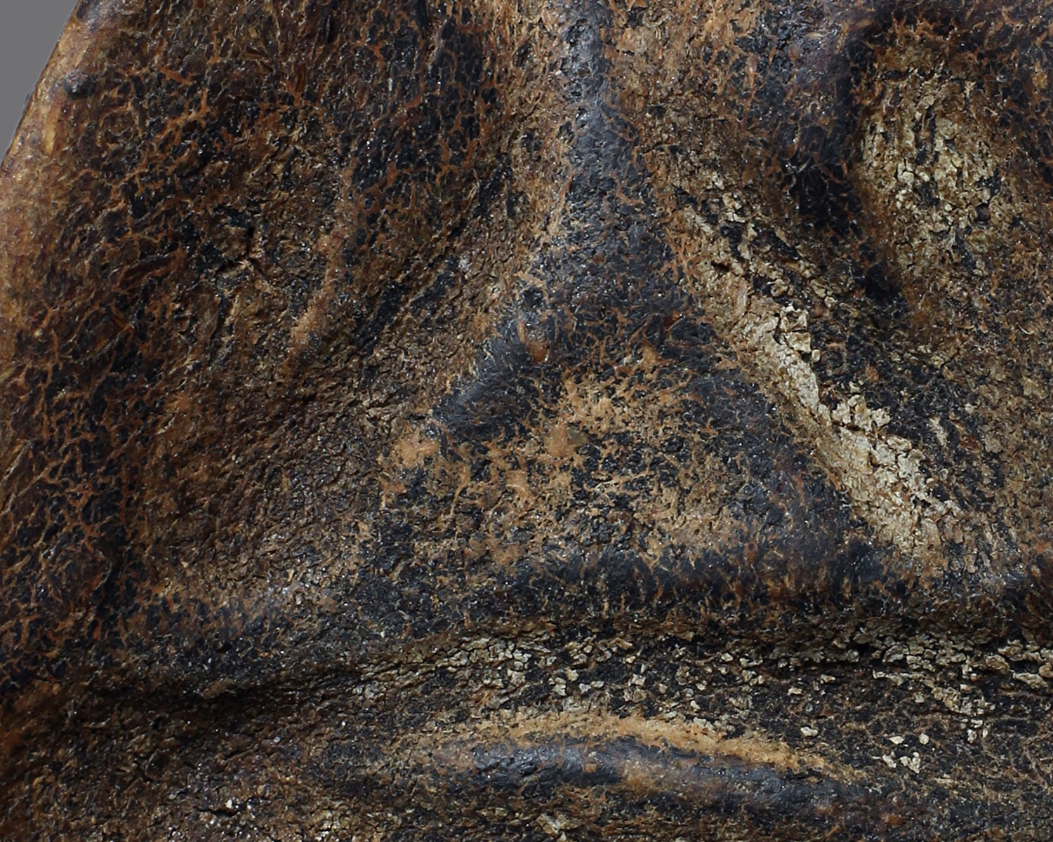 พระปิดตาหลวงพ่อแก้ว เนื้อกะลา วัดเครือวัลย์ จ.ชลบุรี (โชว์พระ)