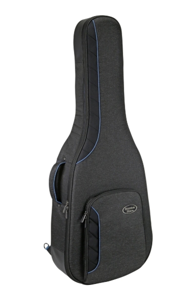 Reunion Blues RB Continental Voyager Dreadnought Case