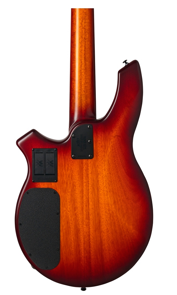 Ernie Ball Music Man Bongo 5 HH BFR Electric Bass Satin Honey Burst