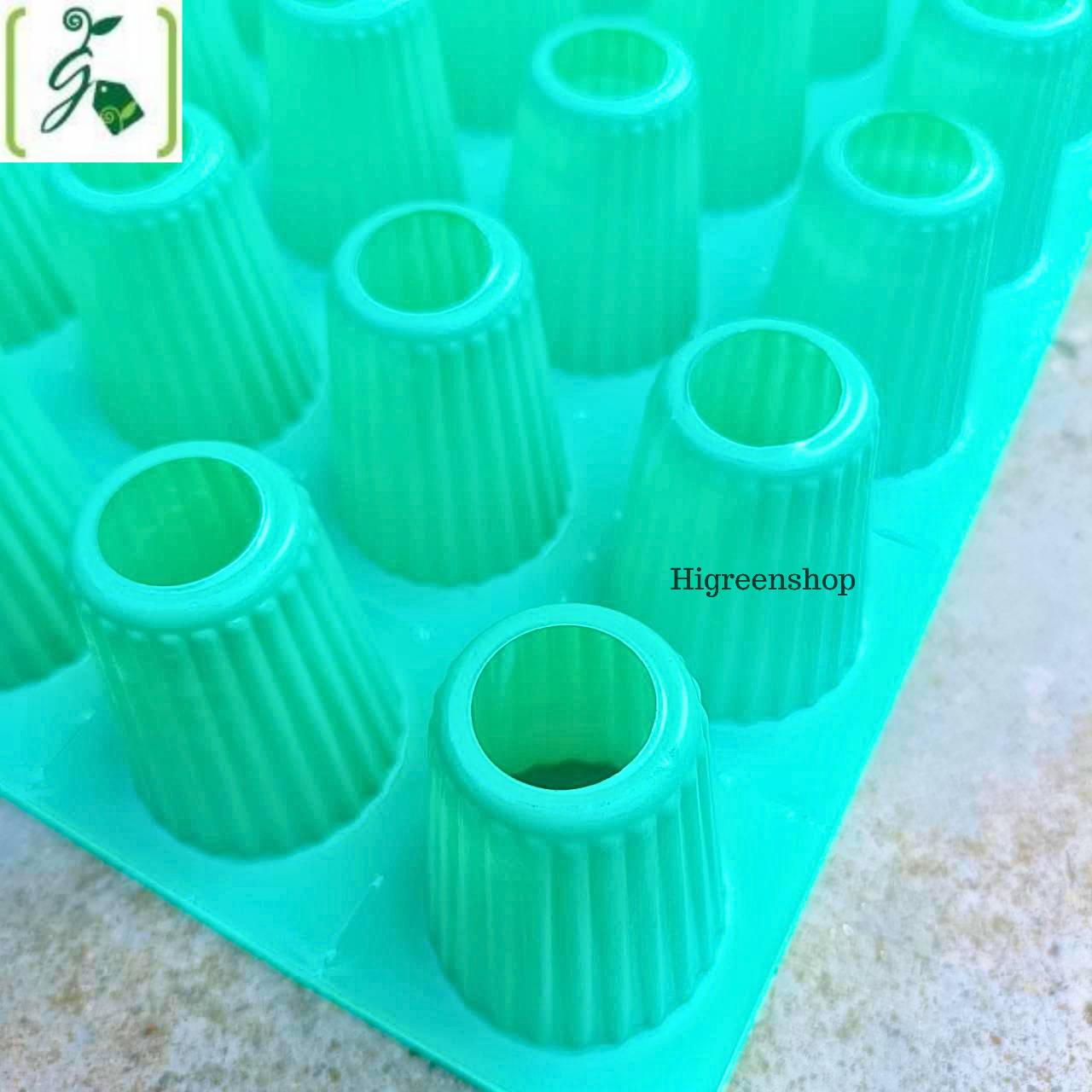 ถ้วยปลูกเขียว ตัดก้นถ้วย 10 กล่อง