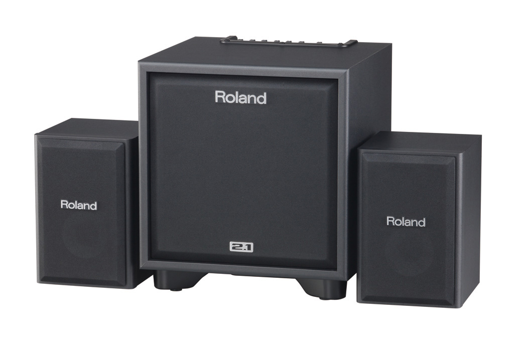 Roland CM-110 2.1 CUBE Monitor System