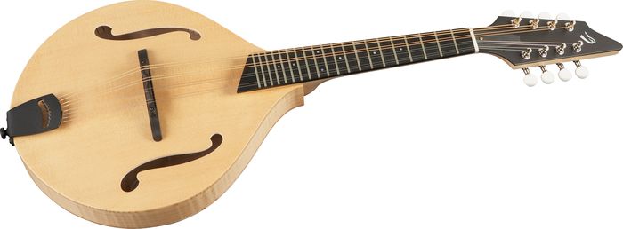 Breedlove American Series OF Mandolin