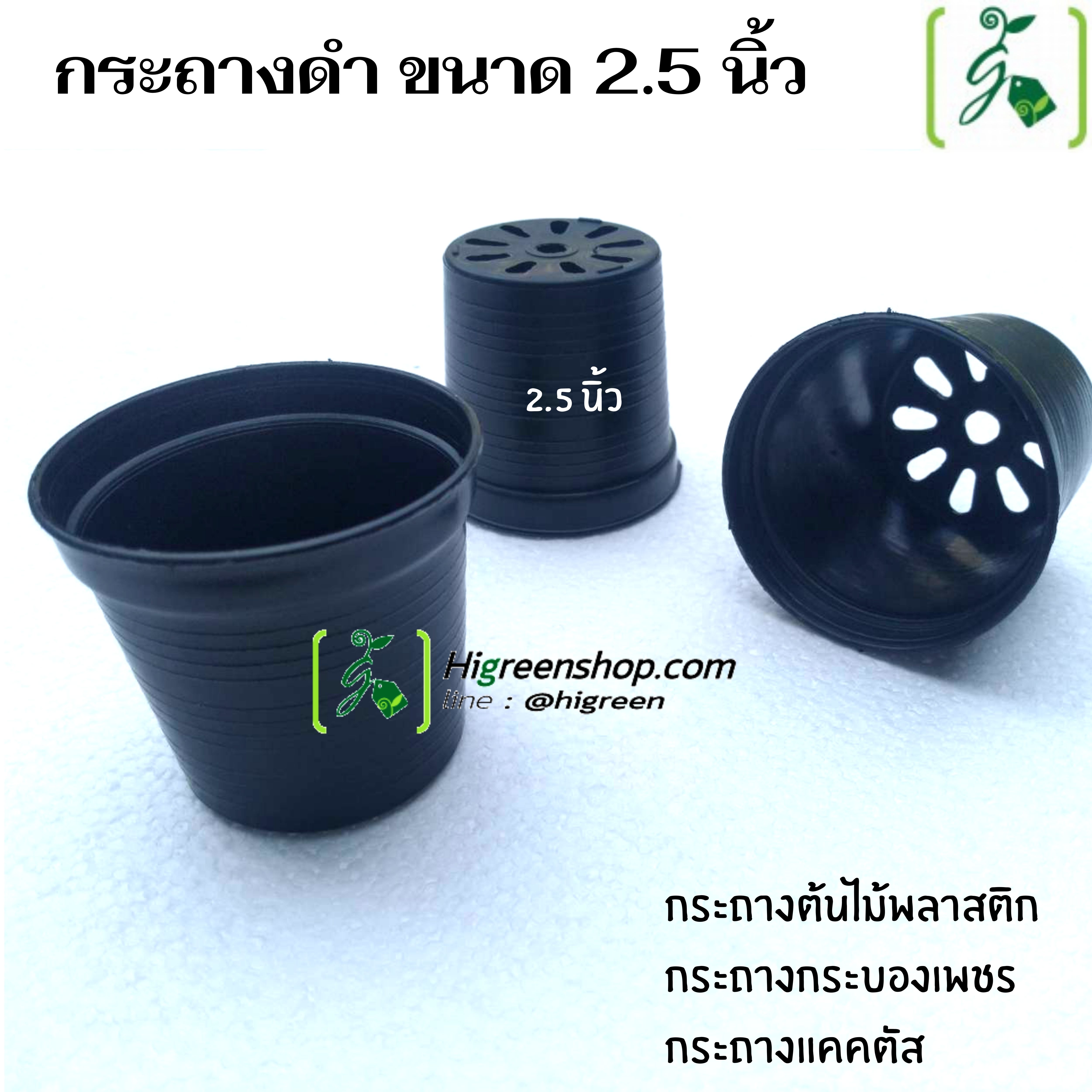 กระถางดำ ขนาด 2.5 นิ้ว / จำนวน 100 ใบ