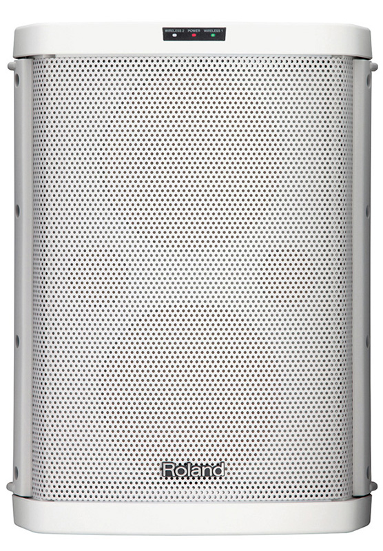 Roland BA-55 Battery Powered Portable Amplifier