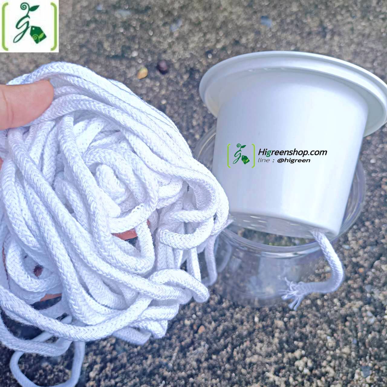 เชือกดูดน้ำอัตโนมัติ สำหรับคนรักต้นไม้ (Self watering wick cord for tree lovers)