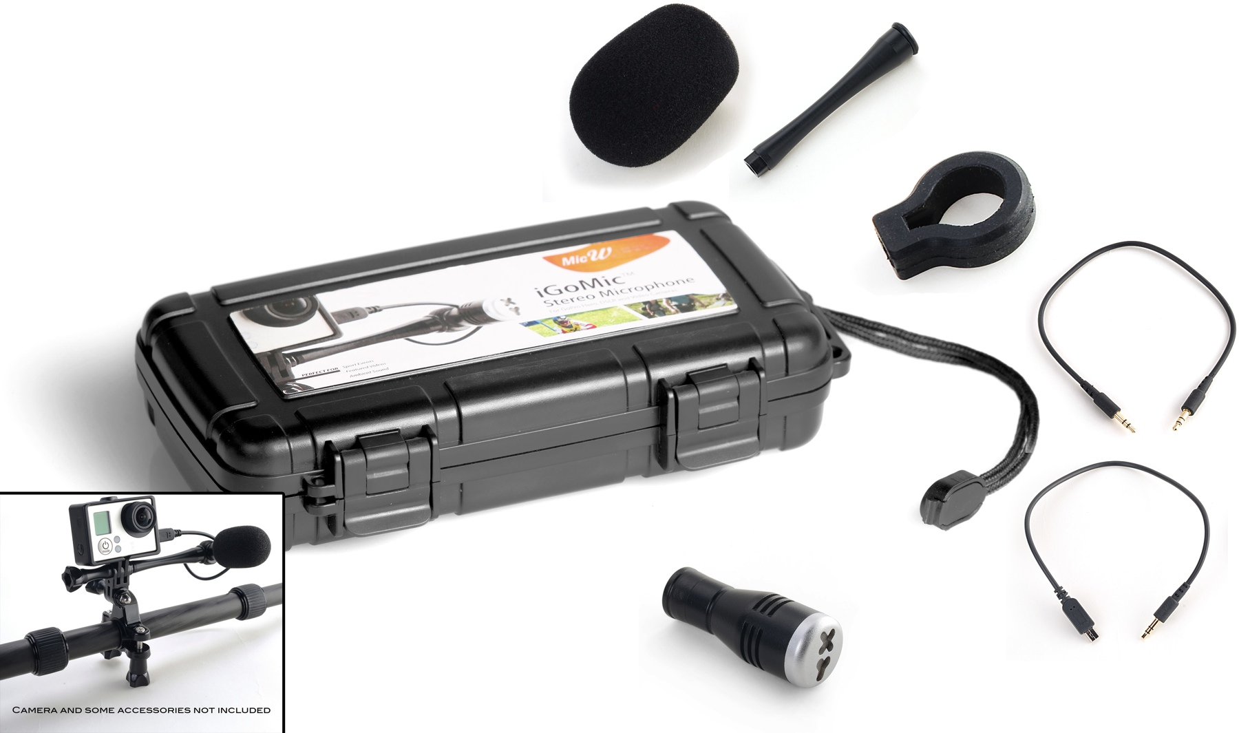 MicW iGoMic Kit