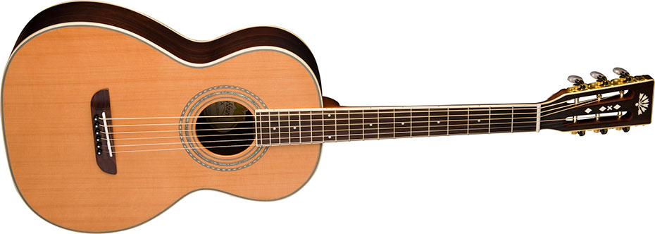 Washburn WP21SNS