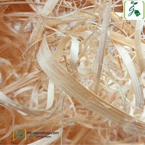 ตะกร้าสาน รังไก่ รังนก ที่นอนแมว จำนวน 1 ใบ