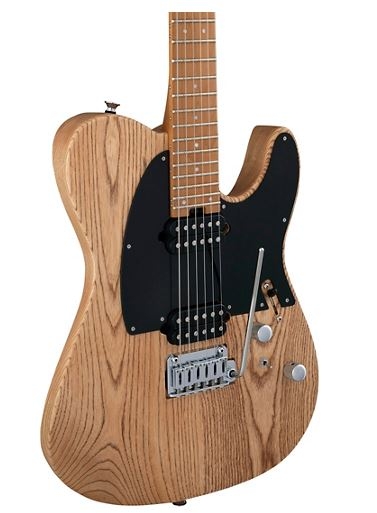 Charvel Pro-Mod So-Cal Style 2 24 HH 2PT CM ash