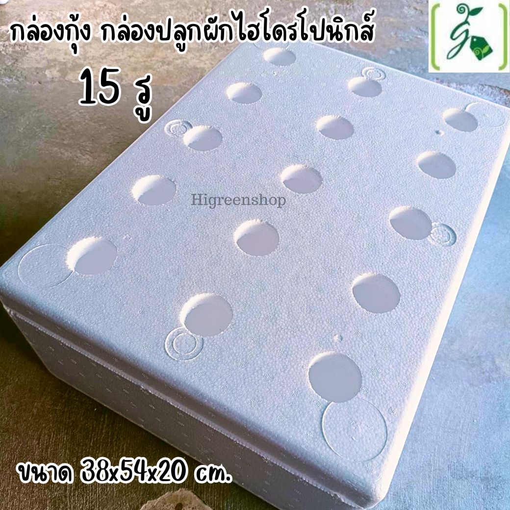 กล่องโฟมมือ 1 กล่องเปล่า กล่องกุ้ง กล่องปลูกผักไฮโดรโปนิกส์ เจาะรูฟรี เจาะรูสลัด 5 / 6 / 8 ต้น หรือผักไทย 15 ต้น เลือกได้ / เซต 10 ลัง