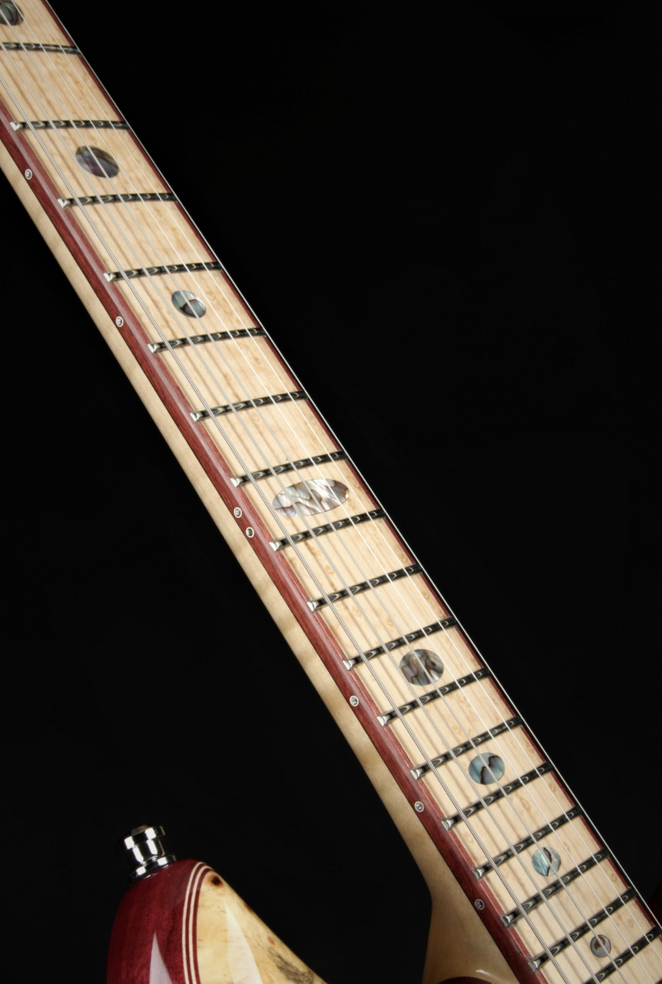 Alembic Further - Buckeye Burl