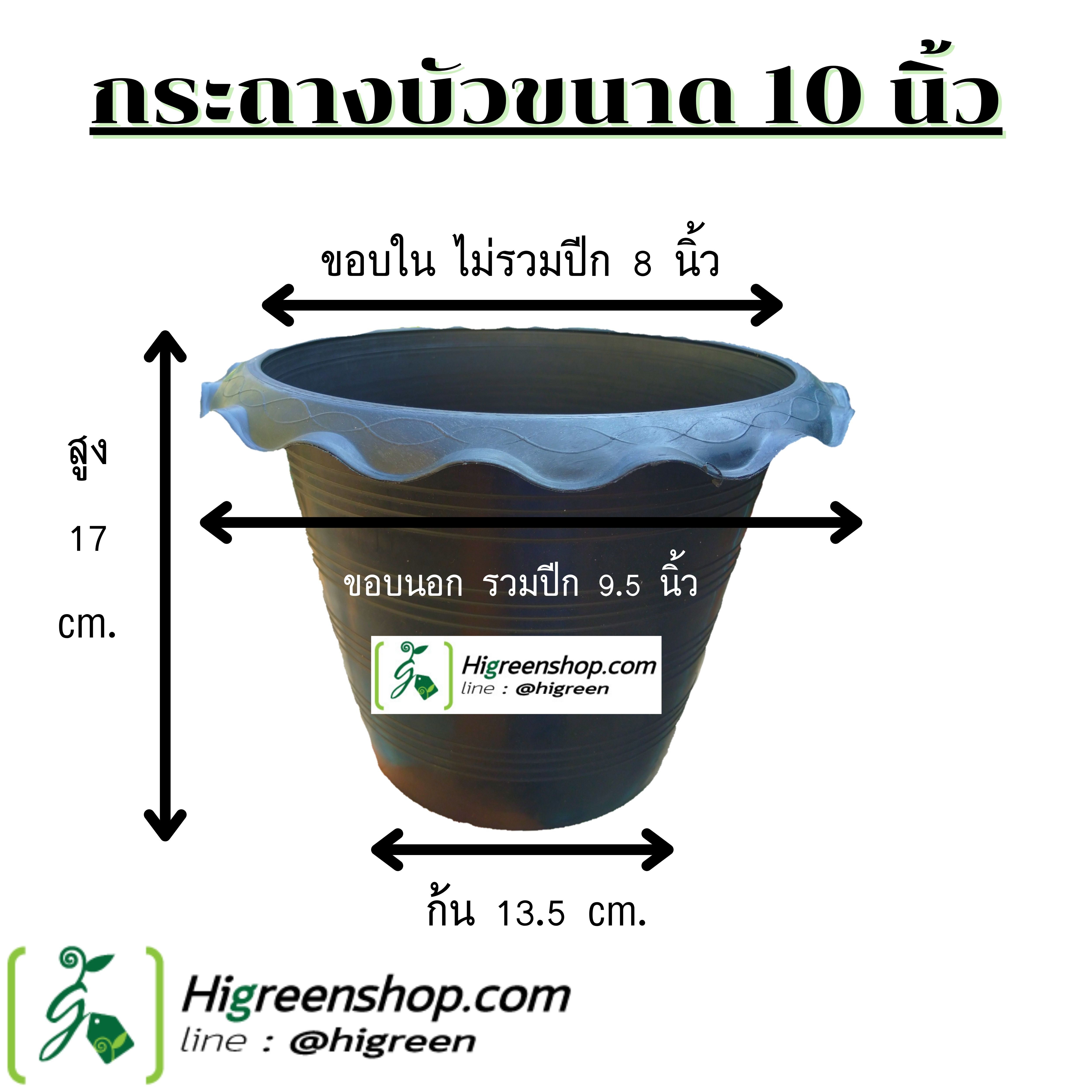 กระถางบัว ขนาด 10 นิ้ว