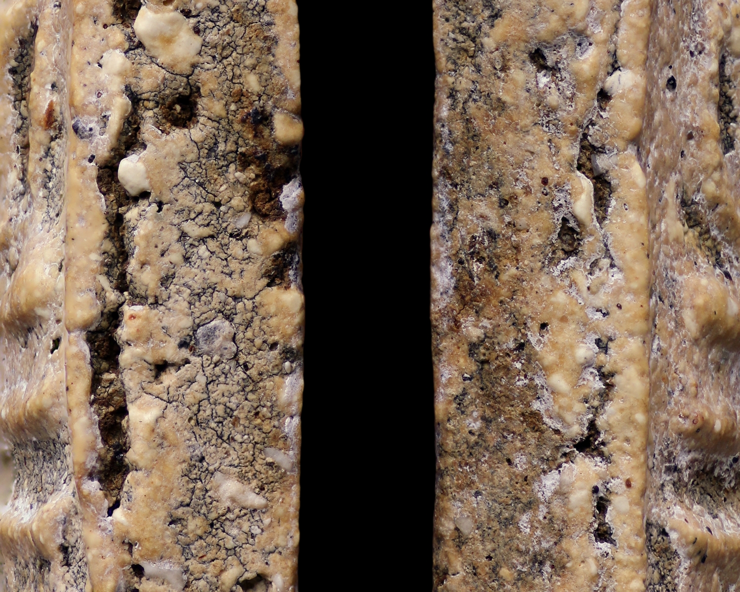 พระสมเด็จวัดระฆังโฆสิตาราม พิมพ์ใหญ่ ลงรักมาก่อน