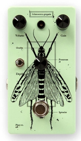 Ground Control Audio Locust - Discrete Distortion