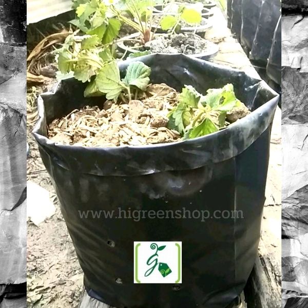 ถุงเพาะชำสีดำ ขนาด 5x10 นิ้ว 30 กก. / กระสอบ