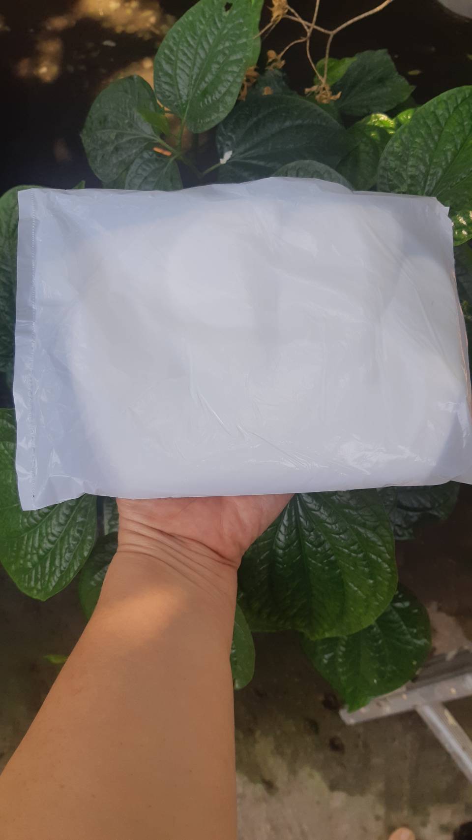 ถุงมือพลาสติก HDPE GLOVE 100 ชิ้น/แพ็ค