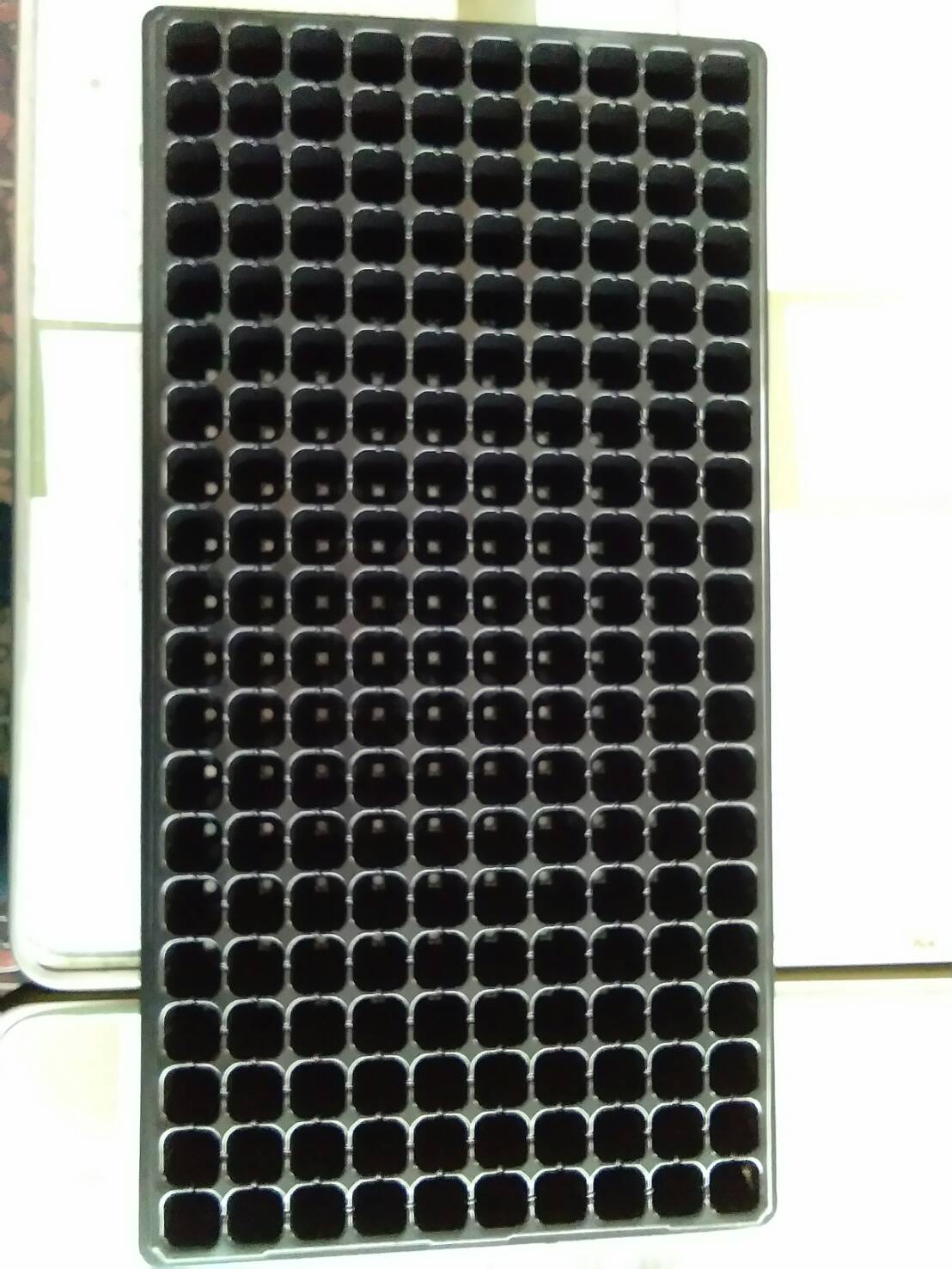 ถาดหลุมเพาะกล้าสีดำ 200 หลุม