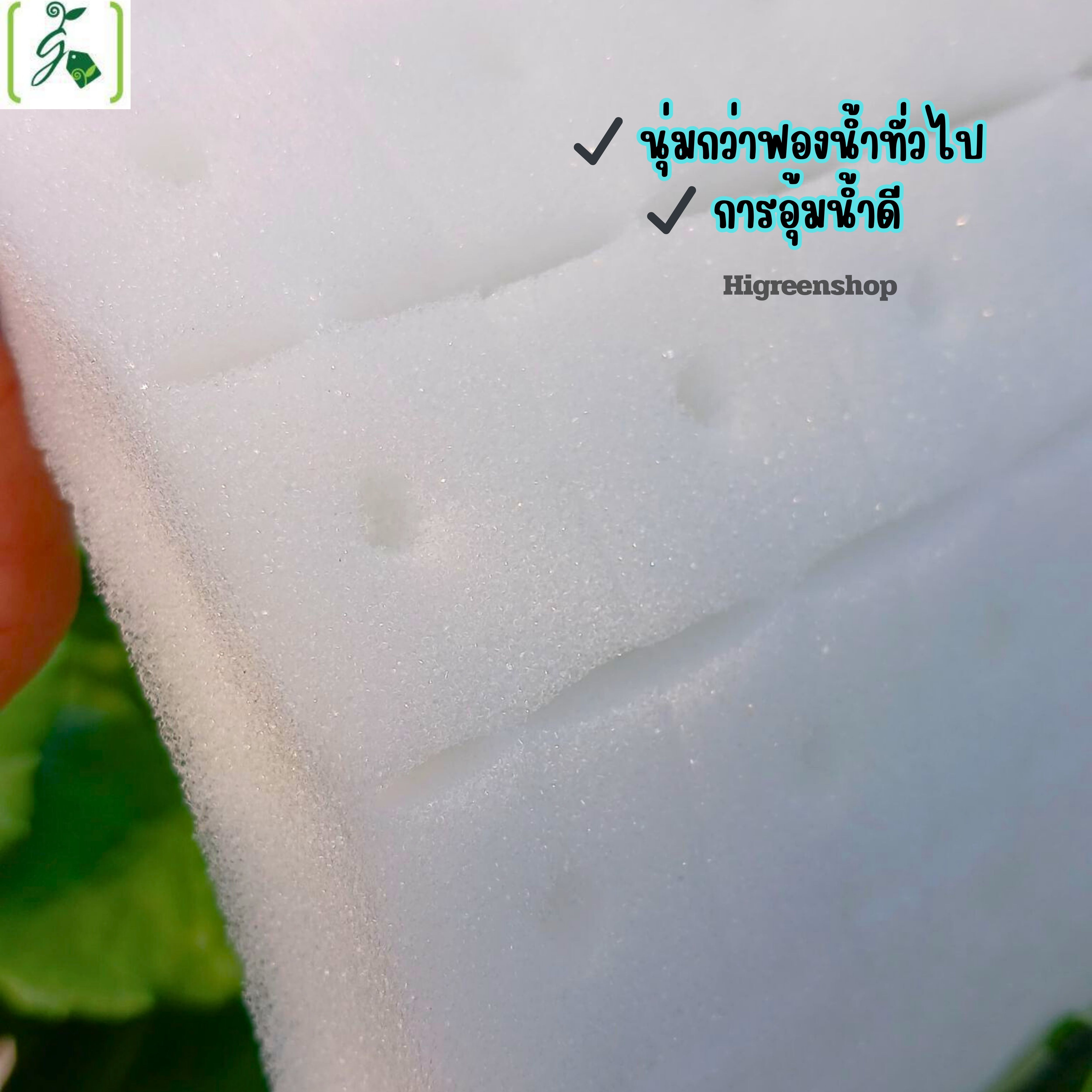 ฟองน้ำแบบหลุม เนื้อละเอียด ขนาด 1x1x1 นิ้ว (99 ช่องปลูก / แผ่น)จำนวน 1 แผ่น