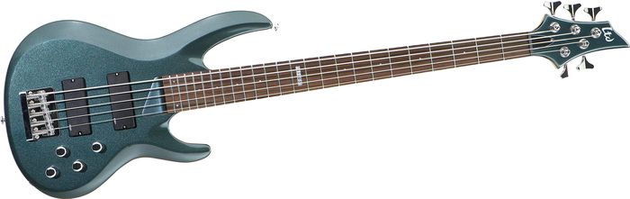 ESP LTD B-105 5-String Bass Guitar