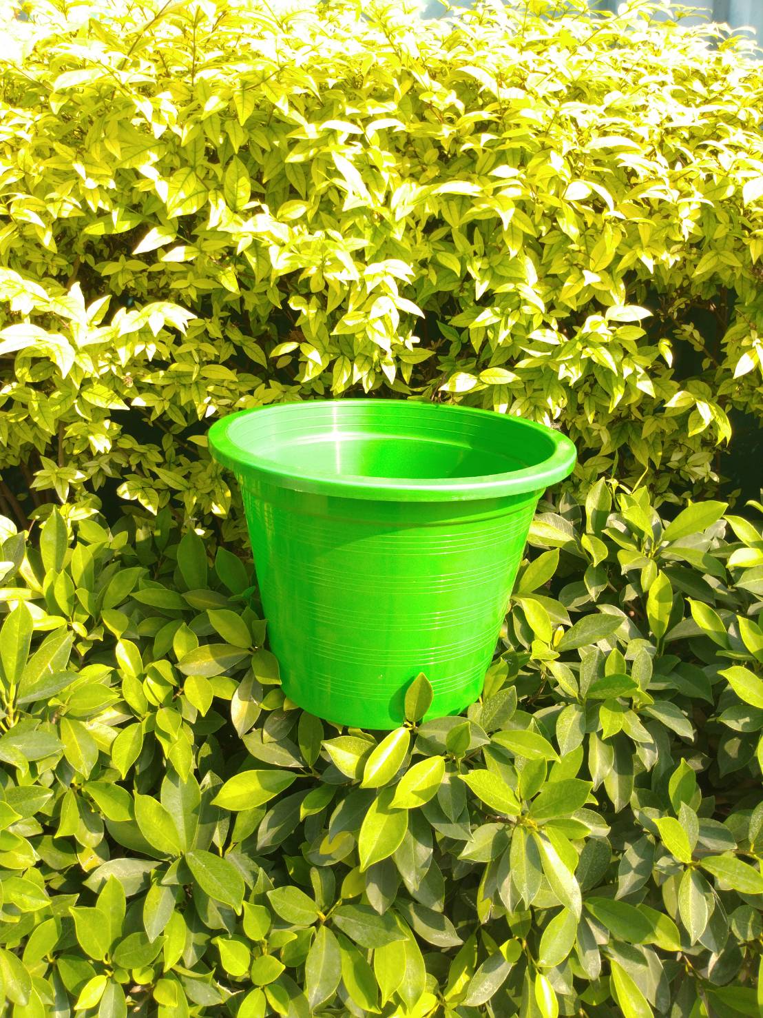 กระถางกลม 12 นิ้ว 1 ใบ (เลือกสีได้)