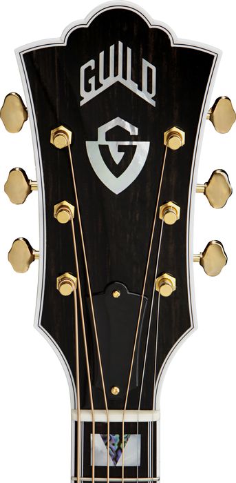 Guild F-50R Acoustic-Electric Guitar with DTAR Multi-Source Pickup System