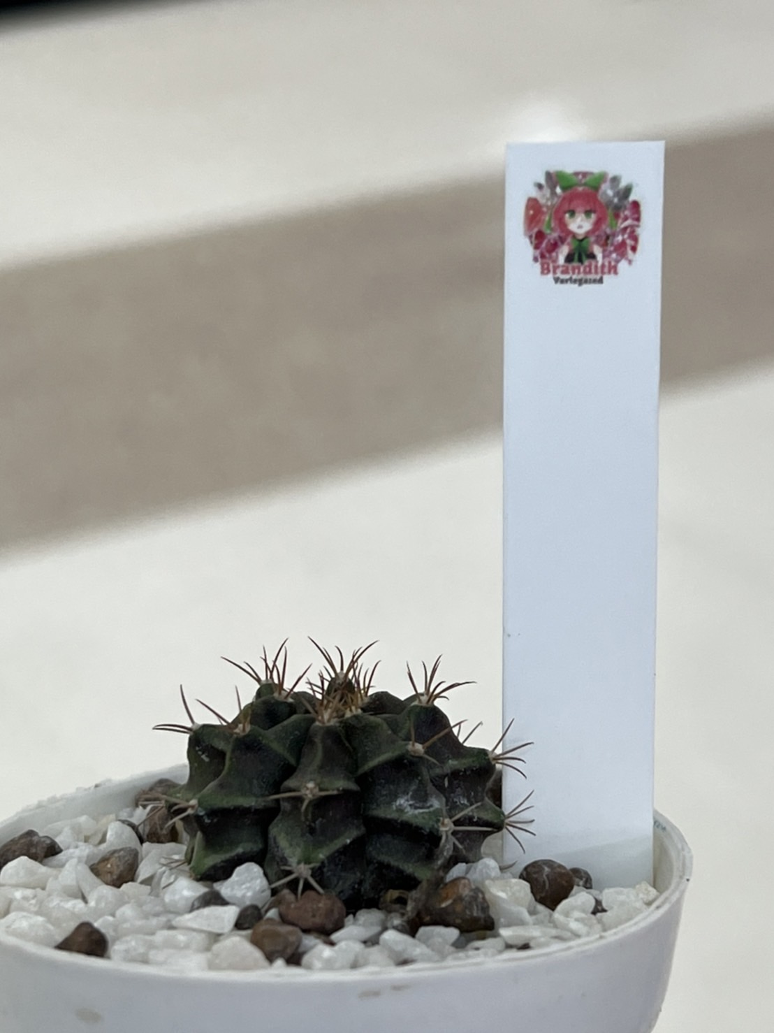 ป้าย Tag แท็กพลาสติกปักต้นไม้