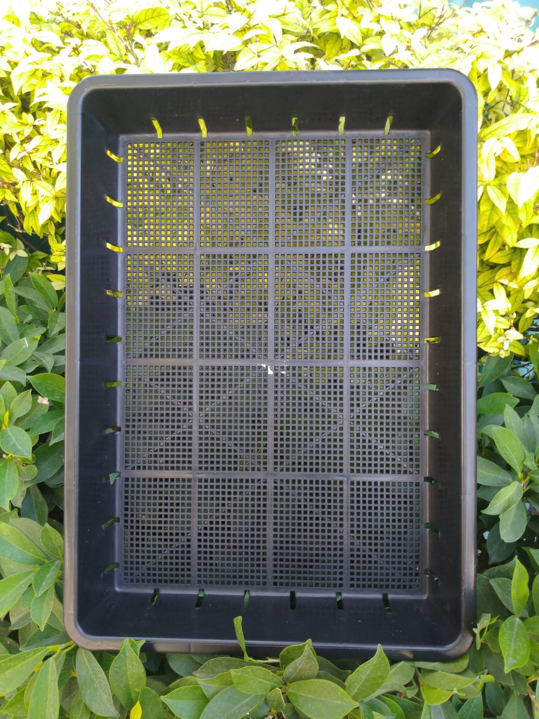 ถาดดำไดโต๊ะ รู จำนวน 1 ชิ้น