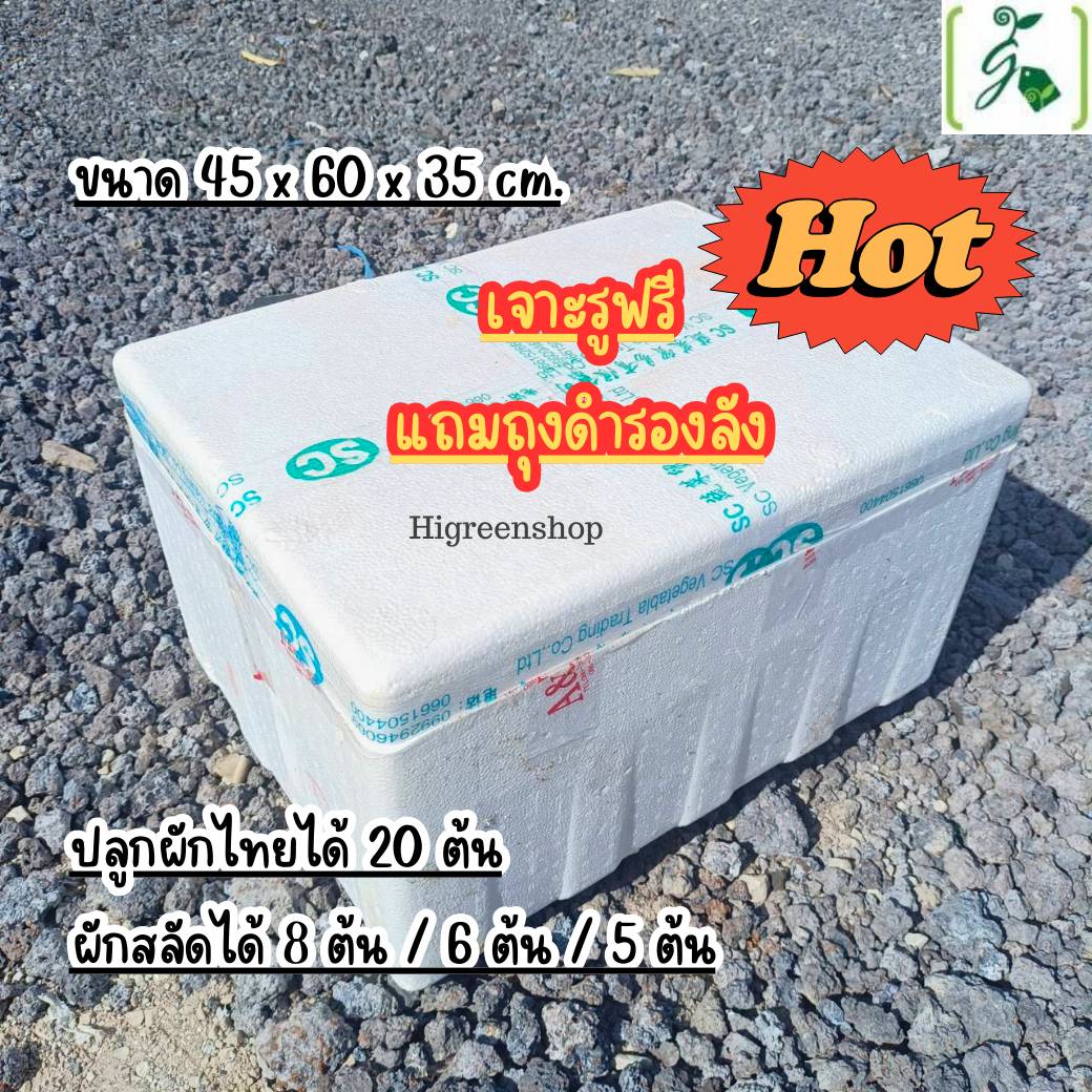 กล่องโฟมมือ 2 กล่องเปล่า กล่องปลา (สูง 35 cm.) กล่องปลูกผักไฮโดรโปนิกส์ เจาะรูฟรี + แถมถุงรองลัง เจาะรูสลัด 8 ต้น หรือผักไทย 20 ต้น เลือกได้ เซต 10 ลัง