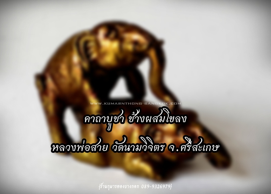 คาถาบูชา ช้างผสมโขลง หลวงพ่อสาย วัดนามวิจิตร