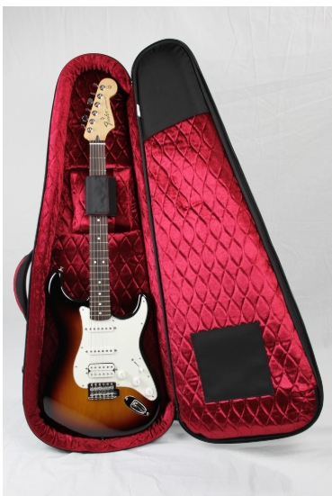 Reunion Blues Aero Series Electric Guitar Case