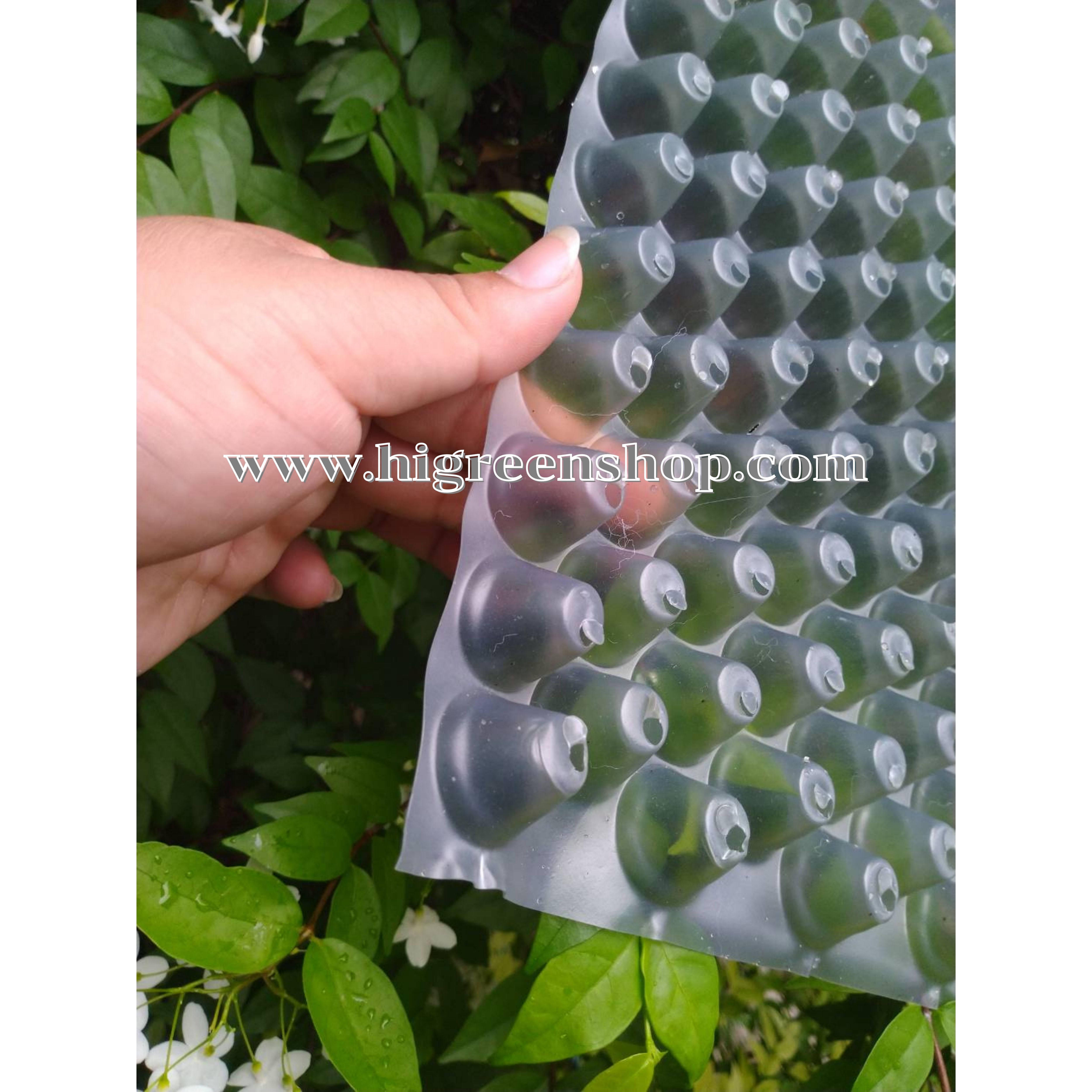 (ยกลัง/500ใบ)ถาดเพาะกล้านาโยน ถาดเพาะข้าว ถาดเพาะชำ ถาดเพาะเมล็ด 434หลุม/ใบ