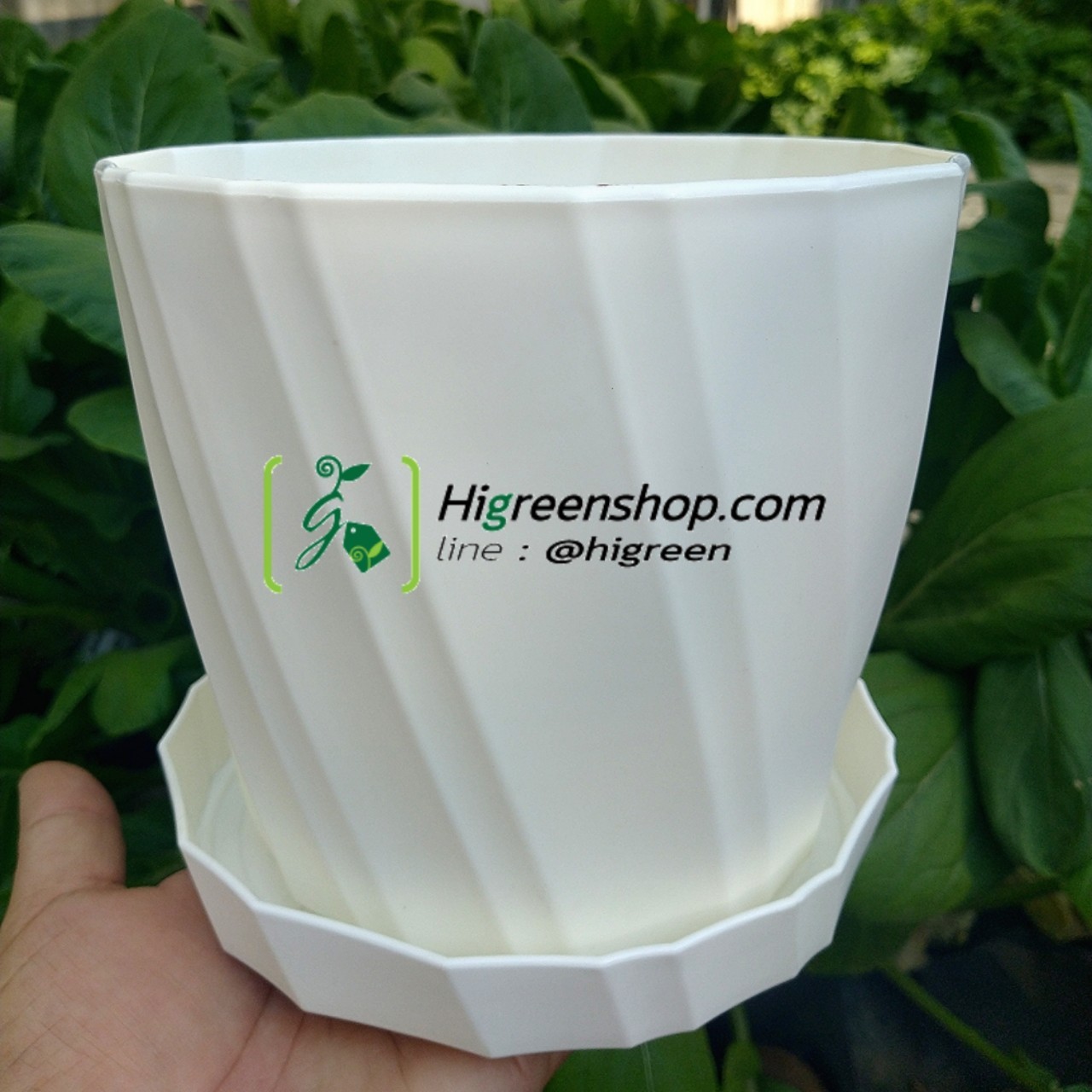 กระถางต้นไม้พร้อมถาดรอง กระถางตั้งโต๊ะ ไซส์ L จำนวน 1 ใบ/แพ็ค