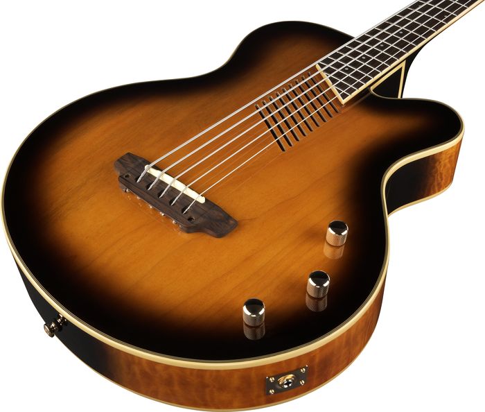 Washburn AB45 5-String Acoustic-Electric Bass Vintage Sunburst