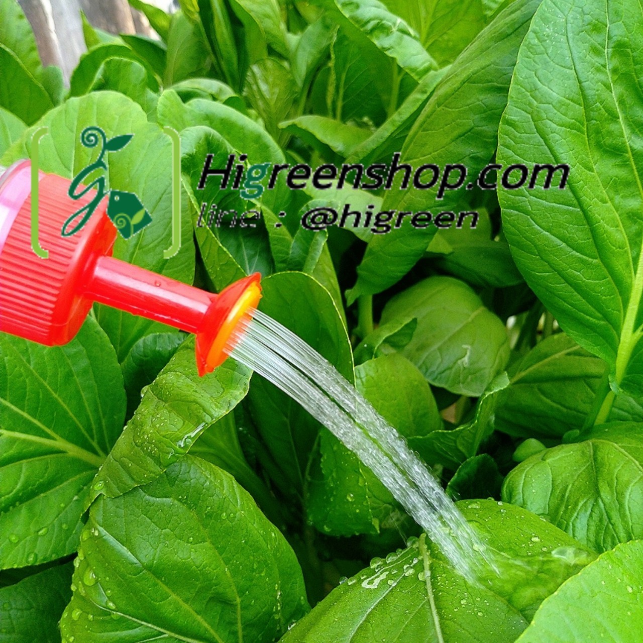 ฝักบัวรดน้ำ ใส่กับขวดน้ำอัดลม น้ำดื่มที่มีเกลียวสูง 5 ตัว/แพ็ค