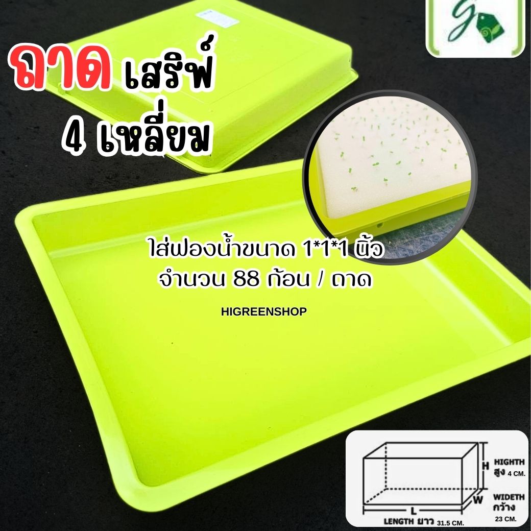 ถาดเสริฟ์ 4 เหลี่ยม ถาดเพาะเมล็ด ถาดพลาสติก จำนวน 1 ใบ