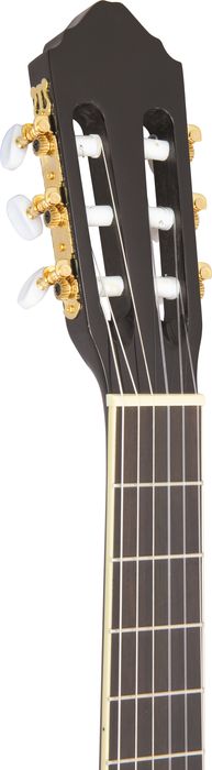 Lucero LCT250CE Thinline Cutaway Acoustic-Electric Classical Guitar