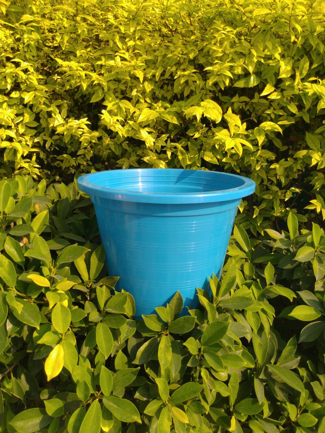 กระถางกลม 12 นิ้ว 1 ใบ (เลือกสีได้)